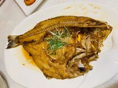 石斑鱼-衡山汇·高级粤菜(霄云路店)
