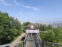 -青藏高原野生动物园