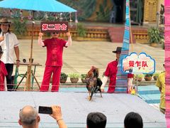 -西双版纳傣族园