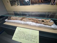 -巴音郭楞蒙古自治州博物馆