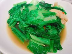 菌菇油麦菜-洪齐林老镇