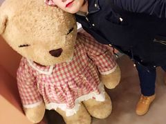 -济州岛泰迪熊博物馆