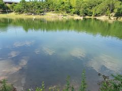 -南京市无想山景区