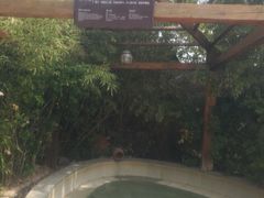 -仁爱团泊湖温泉中心