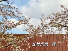 -龙美术馆(西岸馆)