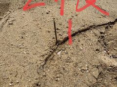 -海南清水湾莱佛士酒店