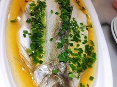 鸡汁太湖白鱼-京城小江南·北京烤鸭·江南土菜·白鱼(中关村店)