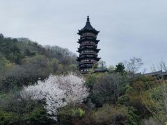 -牛首山文化旅游区