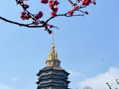 -红梅公园