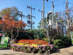 -岳麓山风景名胜区