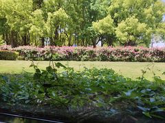-潮府馆·非遗潮州菜·港式点心(世纪公园店)