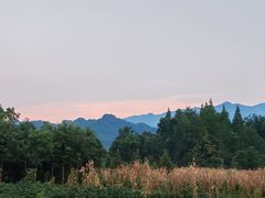 -青城山