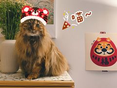 -Tims天好咖啡·贝果(雁展路万象天地店)