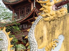 -南山植物园