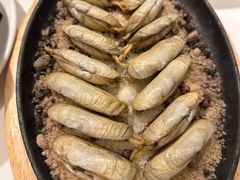 铁板盐焗蛏-莆田餐厅PUTIEN(三里屯店)