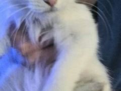 android_upload_pic-Sirena海妖日咖夜酒