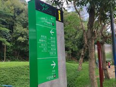 -火炉山森林公园