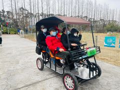 -上海长兴岛郊野公园