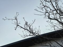 -粥旺庄(芳村店)