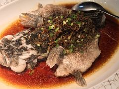 -日出青木·杭帮菜名店