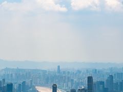 -大金鹰园