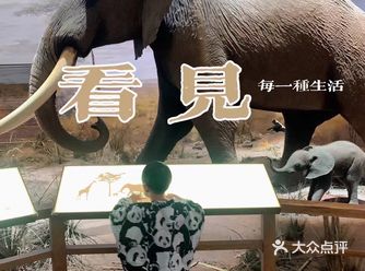 夏季遛娃好去处 自然博物馆