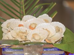 -海口绿发希尔顿酒店-田园汇自助餐·三文鱼·海鲜