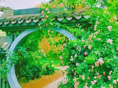 -大兴世界月季主题园