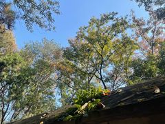 -宝通禅寺