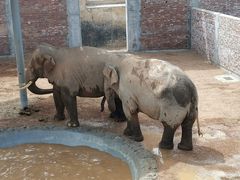 -西霞口神雕山野生动物世界
