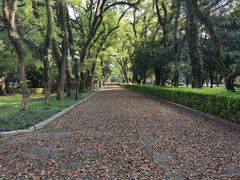 -桂林独秀峰王城景区