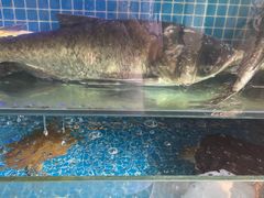 -佤家大院(南门店)