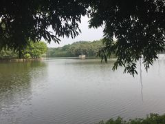 -三水森林公园