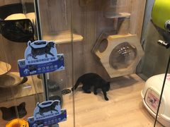 -米卢宠物公园(广华居店)