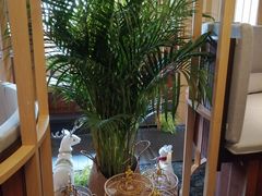 -梅间堂茶馆(绿地缤纷城店)