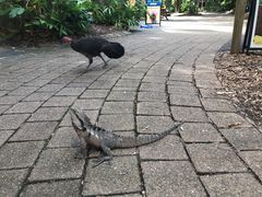 -可伦宾野生动物保护区