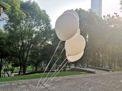 -重庆市江北嘴中央商务区中央公园