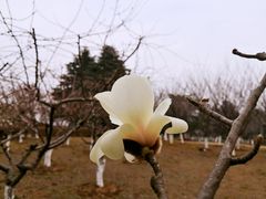 -白塘生态植物园