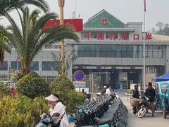 -打洛口岸