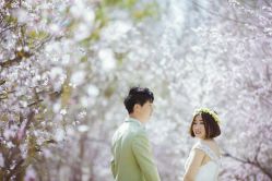 -苏菲亚婚纱影楼尊爵店(昆区店)