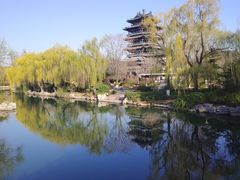 -鹊华居·地道鲁菜·海鲜·融合味(大明湖店)