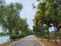 -金银湖国家城市湿地公园