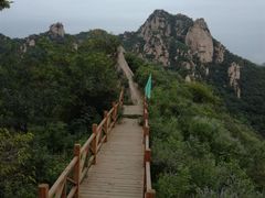 -大岭沟猕猴桃谷风景区