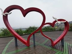 -枸杞岛