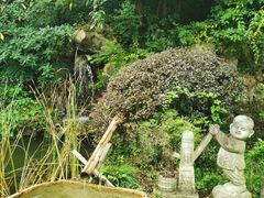 -灵隐飞来峰景区