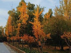 -森林公园(尖草坪区)