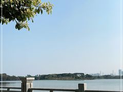 -海珠湖公园