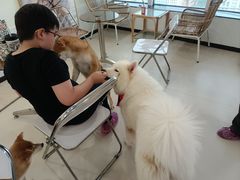 -共舞时光猫咖·狗咖(新街口店)