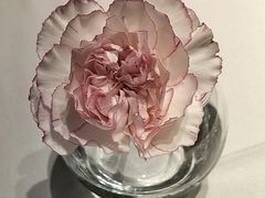 -眉州东坡(国贸店)