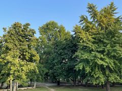 -国家植物园南园